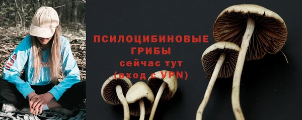 прущие грибы Зеленодольск