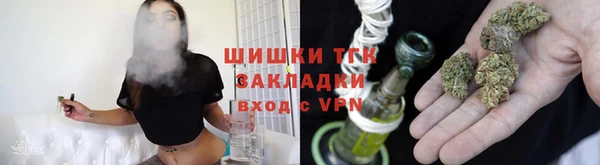 прущие грибы Зеленодольск