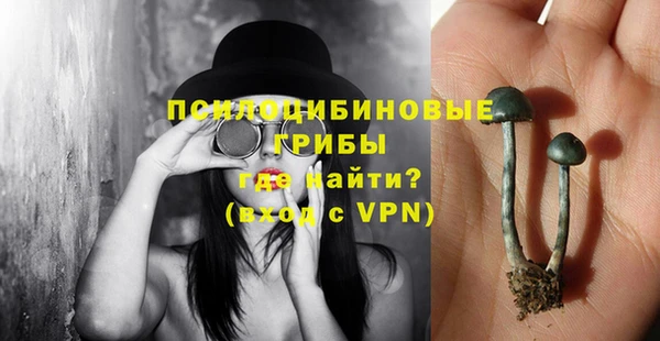 прущие грибы Зеленодольск