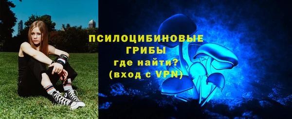 прущие грибы Зеленодольск