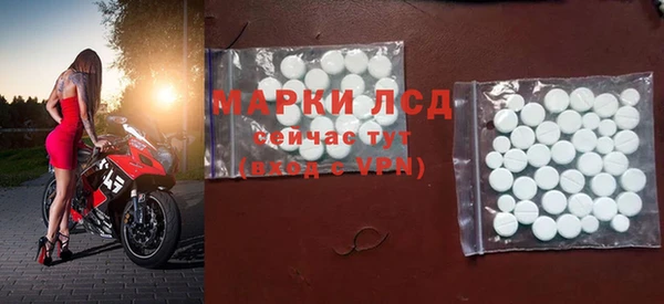 прущие грибы Зеленодольск